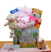 Welcome New Baby Gift Box